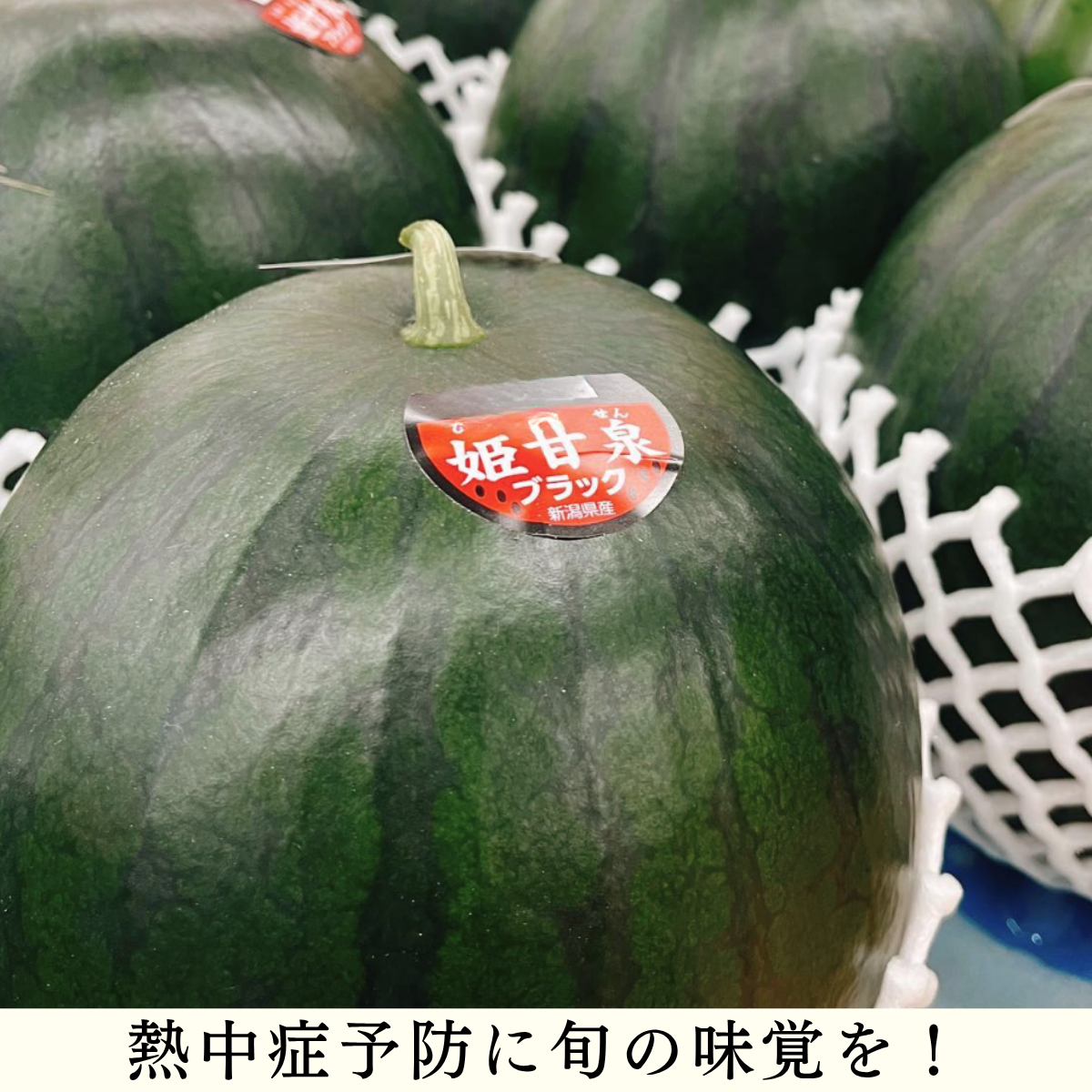 新潟西産】姫甘泉ブラック（黒小玉すいか） | 新潟ごっつぉ産直便 | JA
