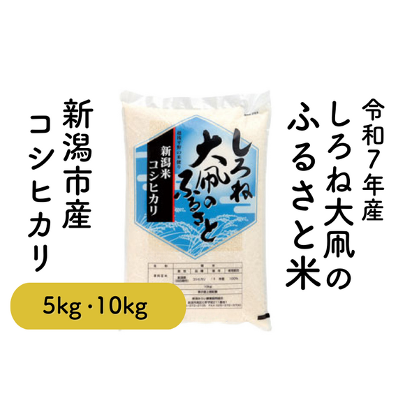しろね大凧のふるさと米 【令和7年度米 新潟市南区産】 | 新潟ごっつぉ
