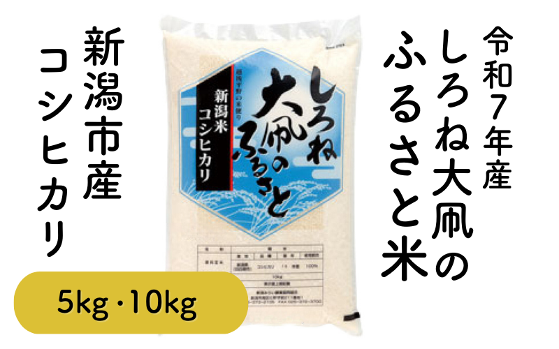 しろね大凧のふるさと.png