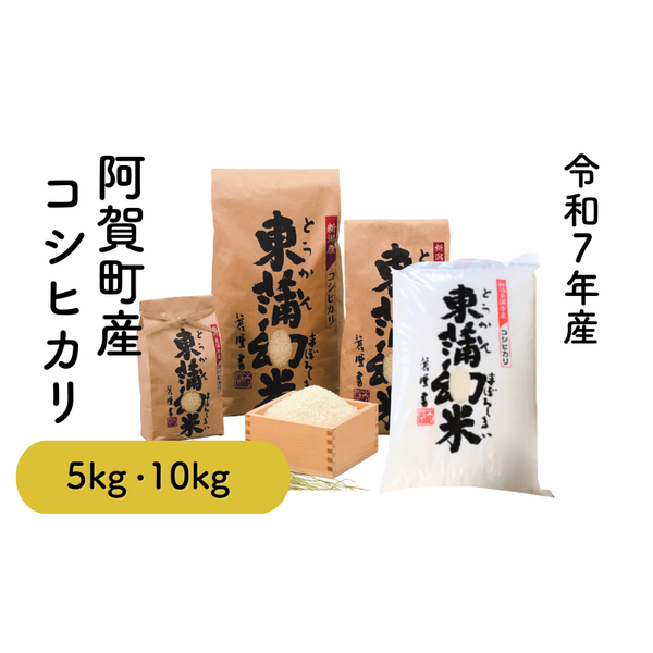 東蒲幻米 （とうかんまぼろしまい）【令和7年度米 阿賀町産】 | 新潟