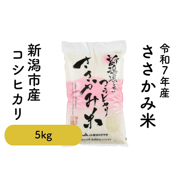 新潟笹神産　特別栽培米　コシヒカリ　玄米　12キロ 農薬50％減 ささかみ米 新潟産コシヒカリ5kg【令和7年度米 阿賀野市笹神産