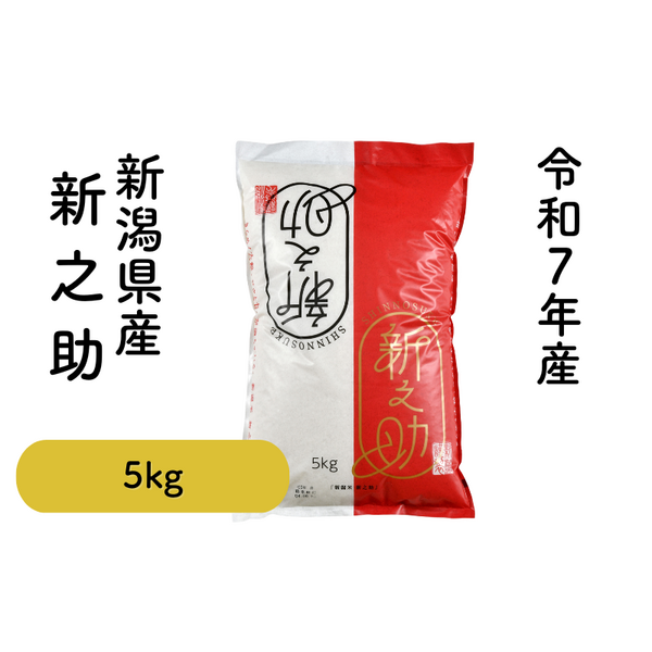 新之助 コシヒカリ 5kg 新之助 5kg【令和7年度米 新潟生まれの新星】 | 新潟ごっつぉ