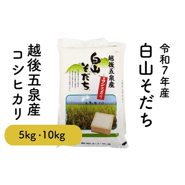 乳白蔵 5kg×6袋セット 白山そだち 5kg・10kg【令和7年度米 越後五泉産】 | 新潟ごっつぉ産直