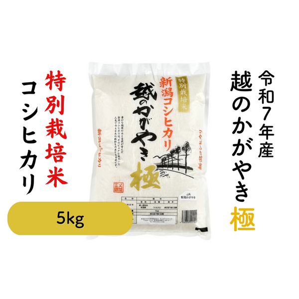 square_越のかがやき_特別栽培米