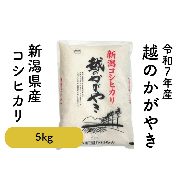 コシヒカリ 越のかがやきコシヒカリ 5kg・10kg【令和7年度米 新潟産コシヒカリ