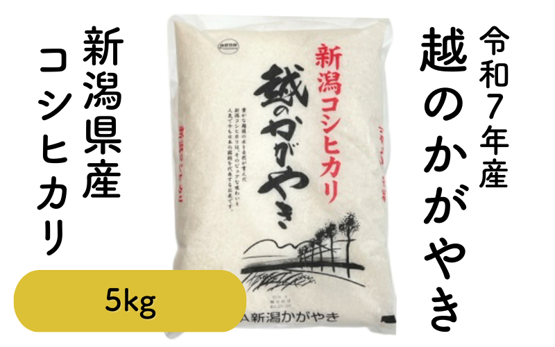 越のかがやきコシヒカリ 5kg・10kg【令和7年度米 新潟産コシヒカリ