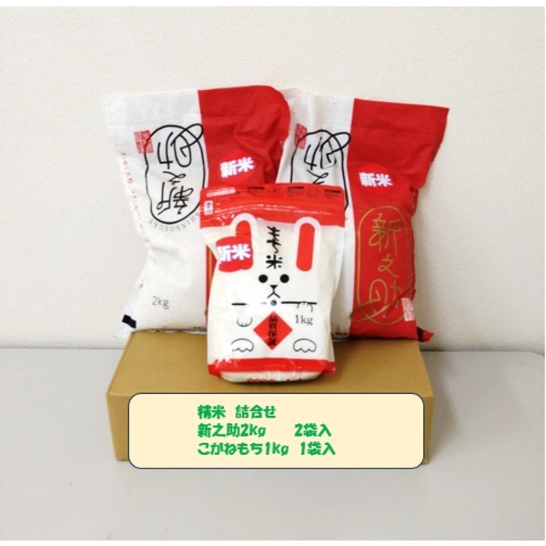 数量限定】新之助・こがねもち 詰め合わせ | 新潟ごっつぉ産直便 | JA