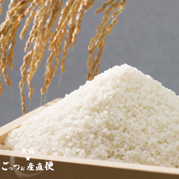 東蒲幻米 プレミアム 玄米30kgの商品画像 2