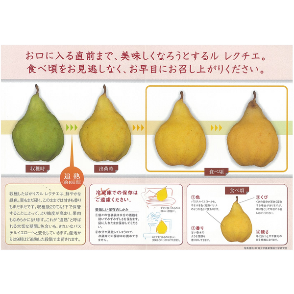 西洋梨ル・レクチエ 化粧箱【白根産】 | 新潟ごっつぉ産直便 | JA新潟