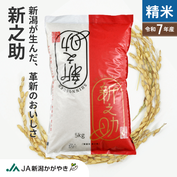 新之助 5kg【令和7年度米 新潟生まれの新星】