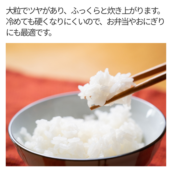 新之助 5kg【令和7年度米 新潟生まれの新星】 | 新潟ごっつぉ産直便