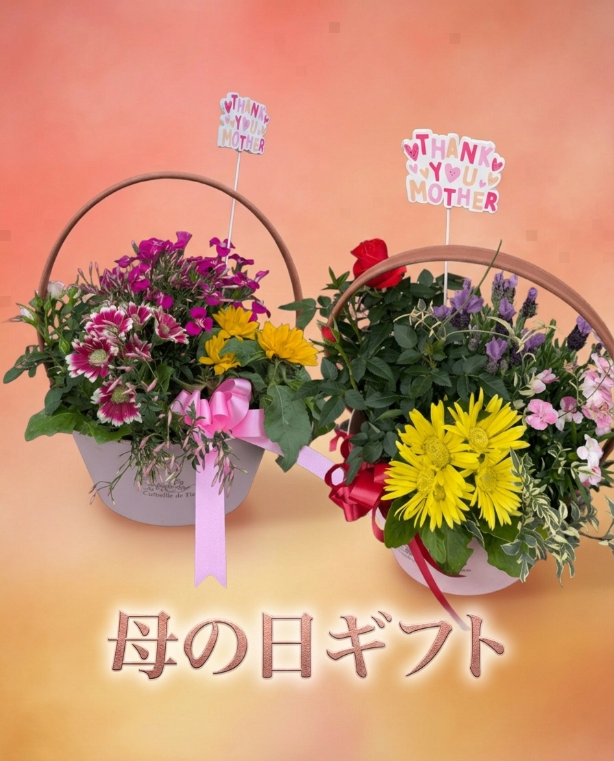 母の日ギフト】季節の花々 ※数量限定※ | 新潟ごっつぉ産直便 | JA新潟