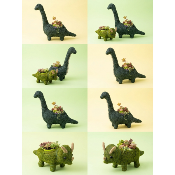 【秋葉区生産者厳選】多肉植物寄せ植え