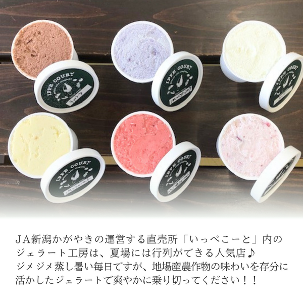 いっぺこ〜との旬のジェラートセット【7月】 | 新潟ごっつぉ産直便