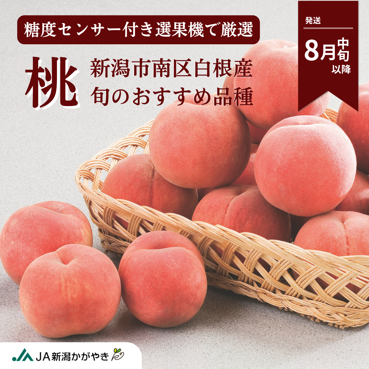 【白根産】旬の桃（8月中旬～9月上旬発送）の商品画像 1