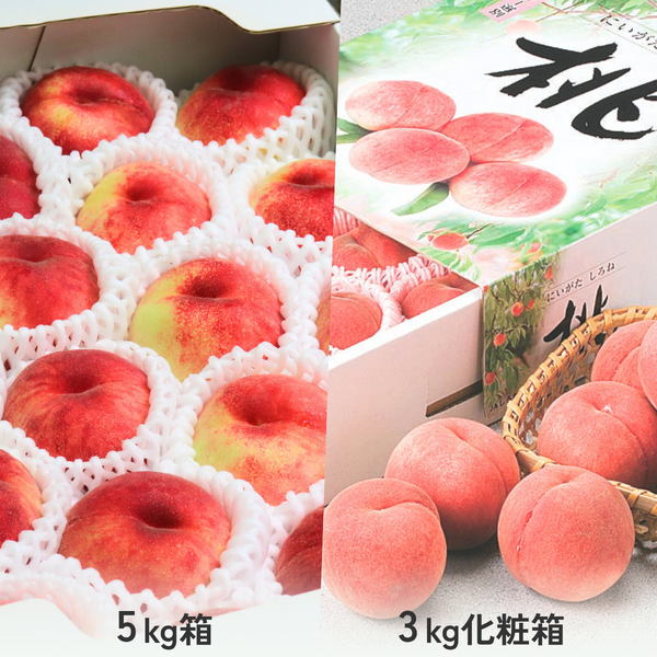 【白根産】旬の桃（8月中旬～9月上旬発送）の商品画像 4