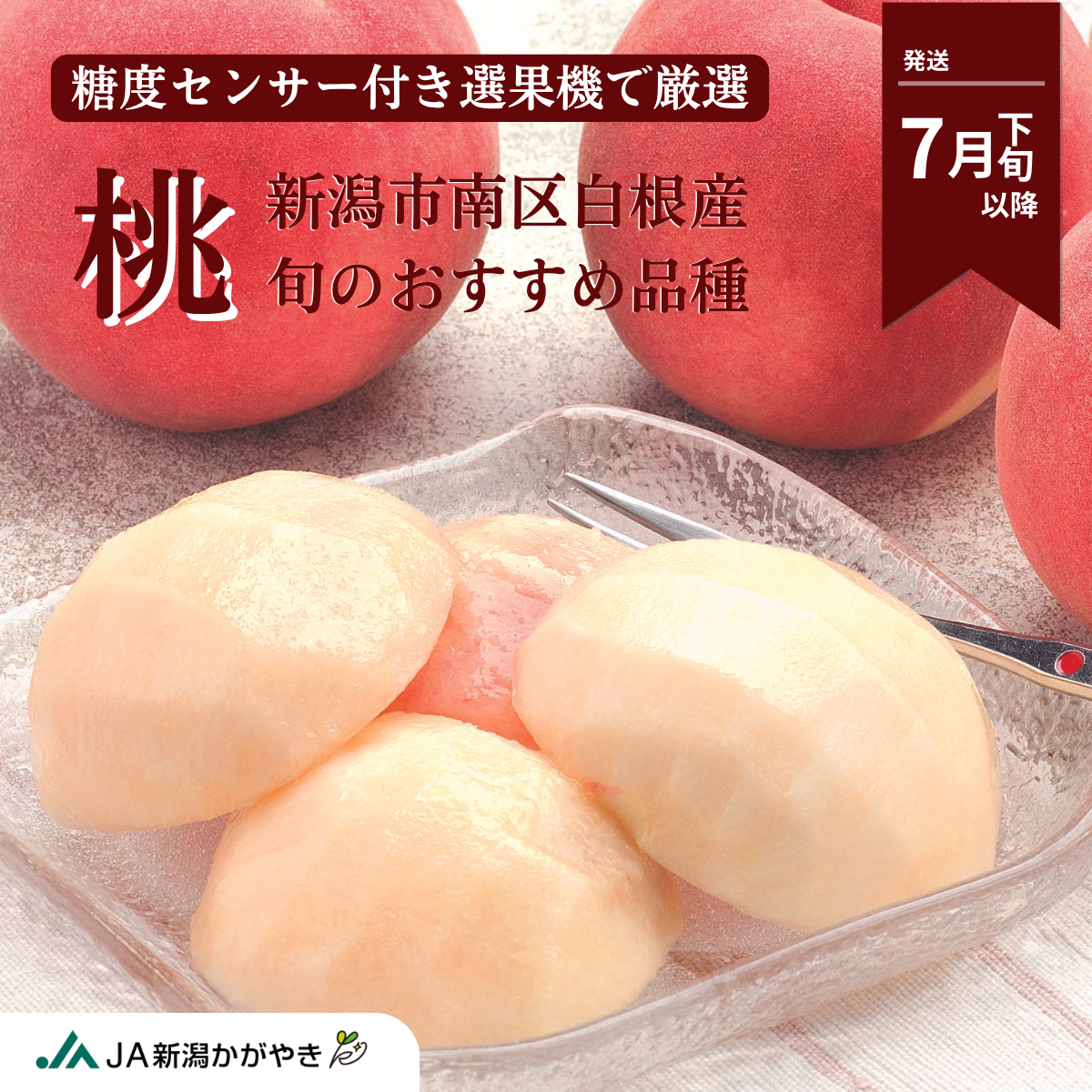 【白根産】旬の桃（7月下旬～8月上旬発送）の商品画像 1