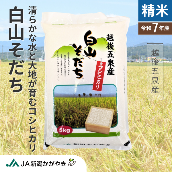 白山そだち  5kg･10kg【令和7年度米 越後五泉産】