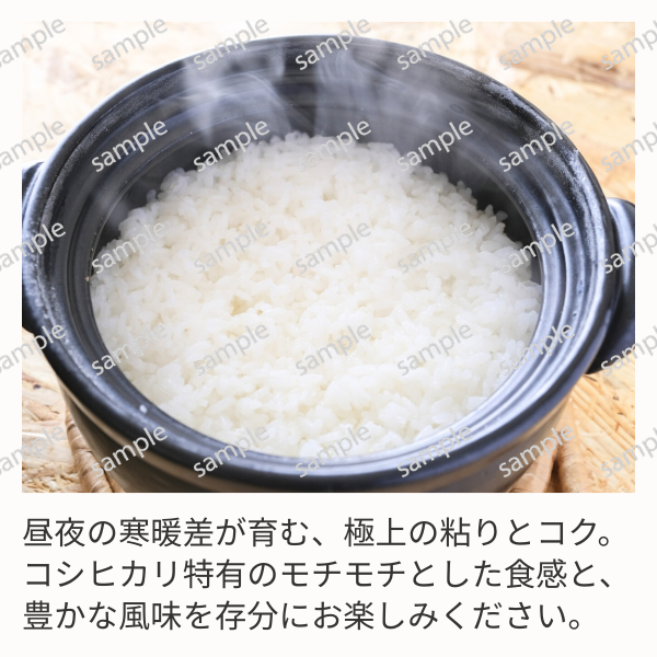 白山そだち  5kg･10kg【令和7年度米 越後五泉産】の商品画像 3
