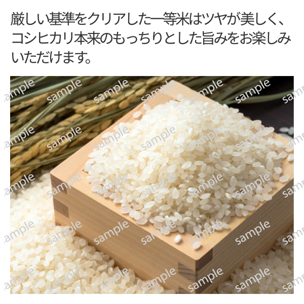 飛燕舞（ひえんまい）【令和7年度米 燕市産】特別栽培米コシヒカリの商品画像 3