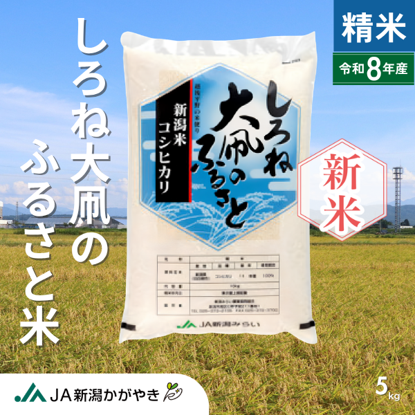 【令和8年産】しろね大凧のふるさと米  【新潟市南区産】