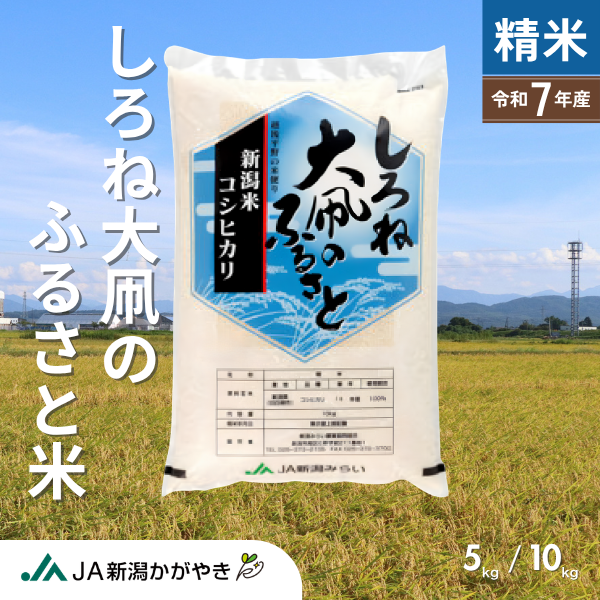 【令和7年産】しろね大凧のふるさと米  【新潟市南区産】の商品画像 1