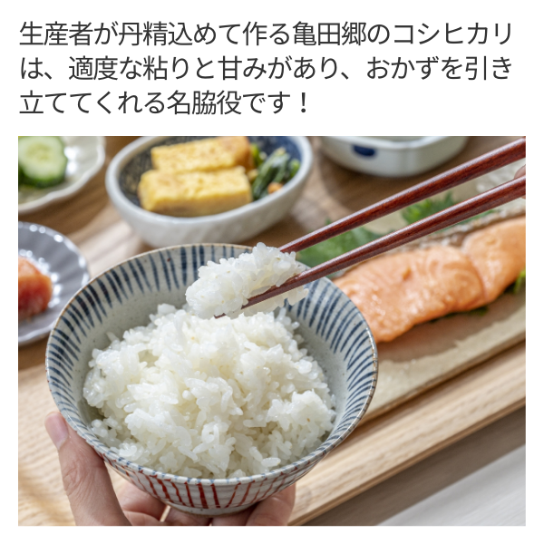 【令和7年産】亀田郷越乃蔵の里【亀田横越産】の商品画像 3