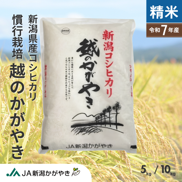【令和7年産】越のかがやきコシヒカリ慣行栽培【新潟県産コシヒカリ】の商品画像 1