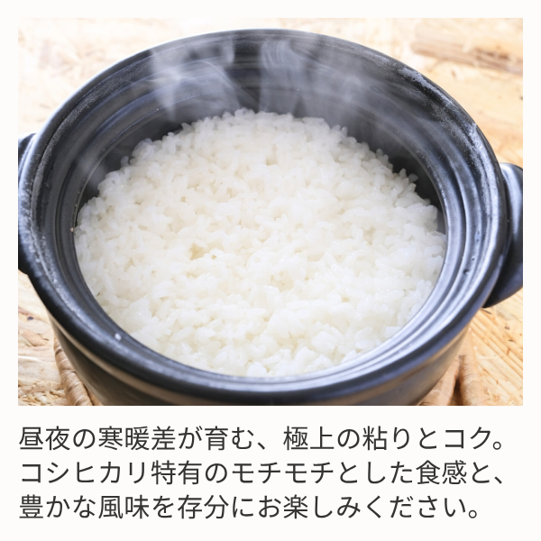 【令和7年産】白山そだち 【越後五泉産】の商品画像 3