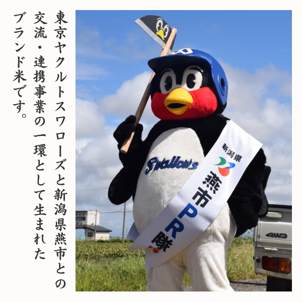 【令和7年産】つば九郎米　2kg･5kg【燕市産・コラボ米】の商品画像 3