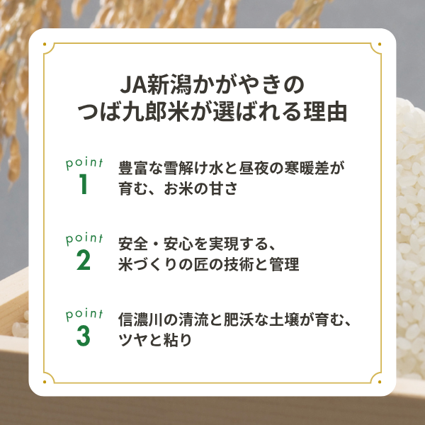 【令和7年産】つば九郎米　2kg･5kg【燕市産・コラボ米】の商品画像 4